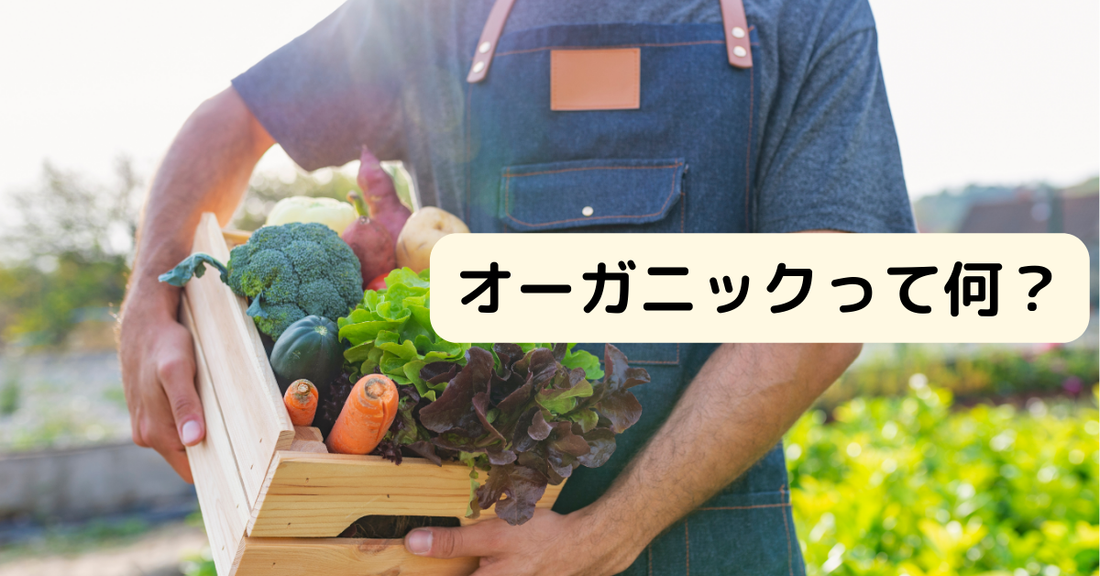 オーガニックって何?今さら聞けない基本とメリット
