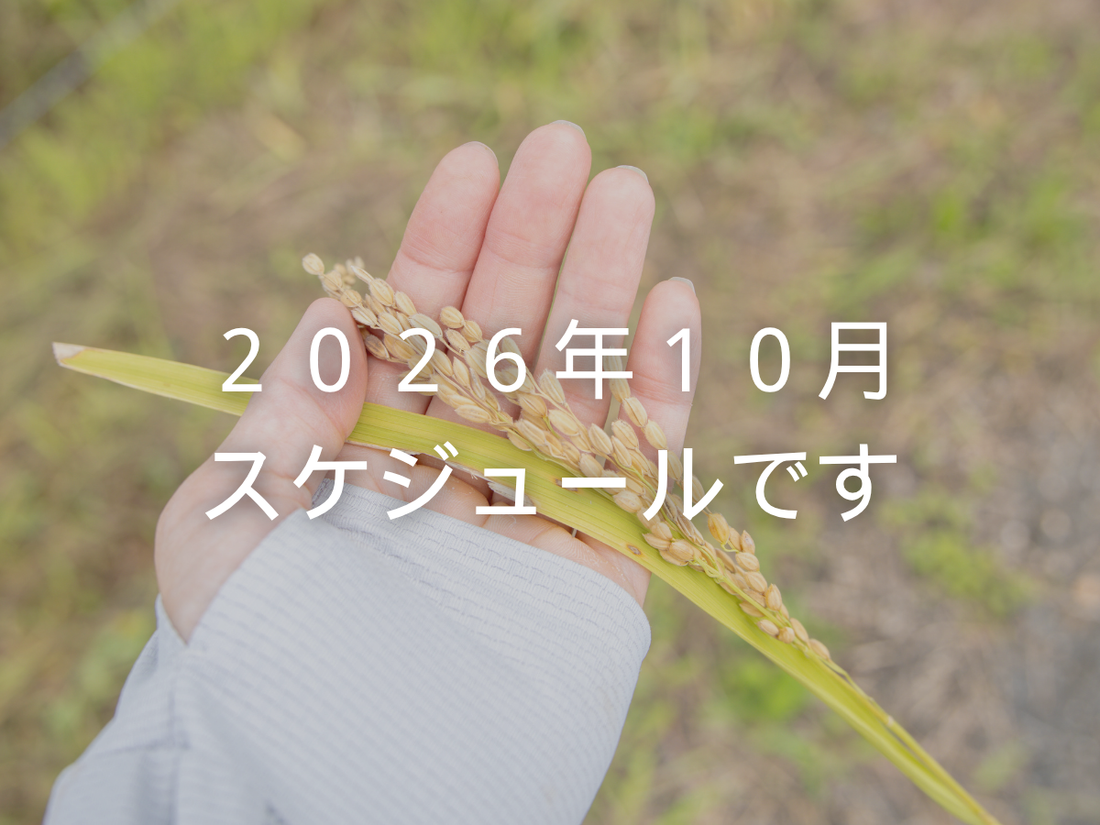 2026年10月スケジュールです！