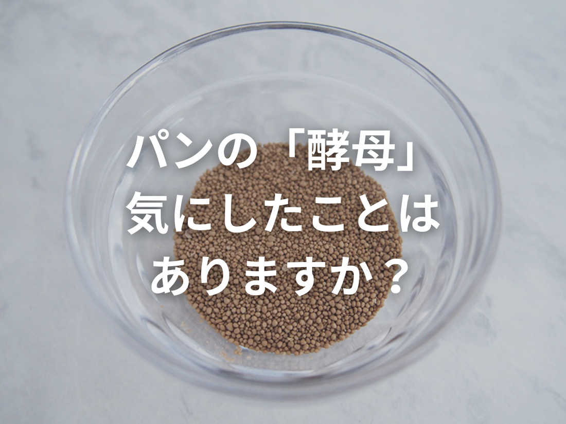 おこめパンに込めた、素材選びへの想い〜天然酵母編〜