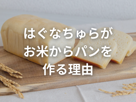 米粉じゃなくて、なぜ生米？はぐなちゅらがお米からパンを作る理由