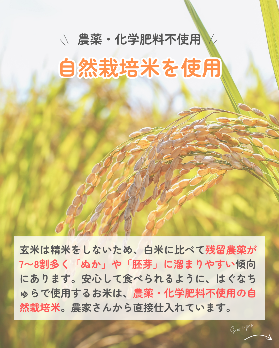 ★6/19製造・6/20以降発送分★【冷凍】【予約販売】玄米あんぱん２個セット