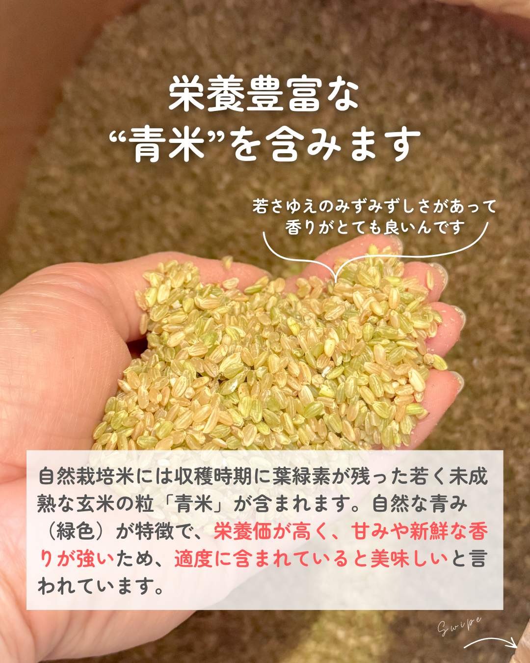 ★6/19製造・6/20以降発送分★【冷凍】【予約販売】玄米あんぱん２個セット